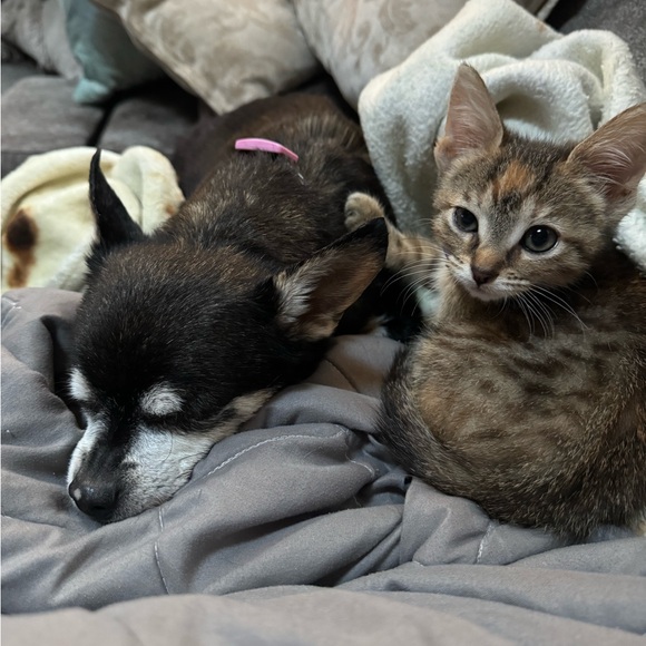 I’m not crazy. I just like to shop. A LOT. - Picture 3 of 4